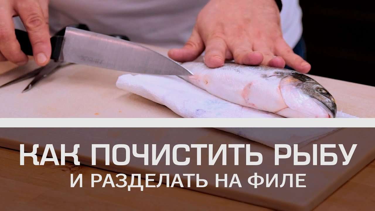 Как почистить рыбу и разделать на филе [Мужская кулинария]