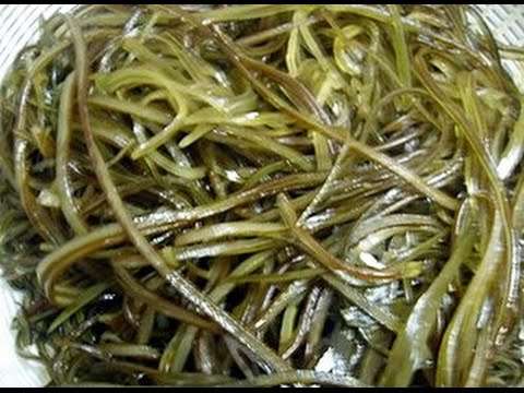 Кулинария с Лизой  Салат из морской капусты