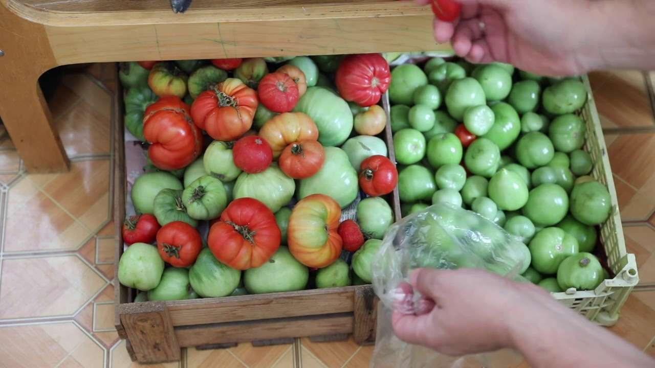 Запасаем (консервируем) томаты (помидоры)